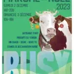 affiche marché de Noël Busy 2023
