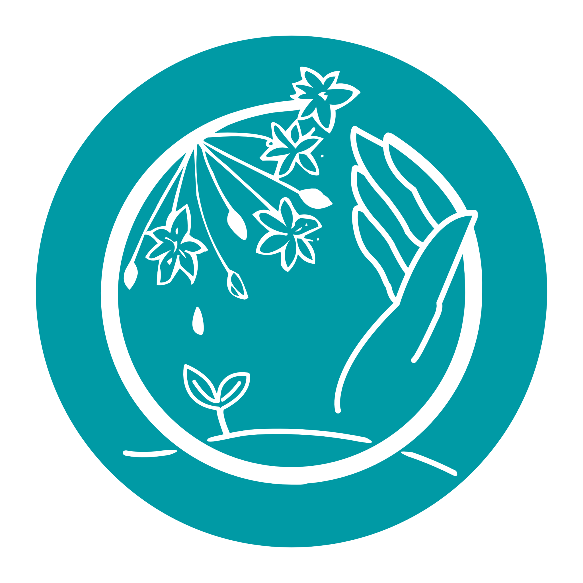 logo Ombelle Avenir pour les réseaux sociaux en bleu turquoise . un emain dans le prolongement du O de Ombelle, ainsi que le dessin de l'ombelle à l'autre extrémité, une graine qui tombe et une pousse qui jaillit de la terre.