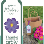 étiquette pour la fête des mères "happy mother's day". bordure verte - pensée violette